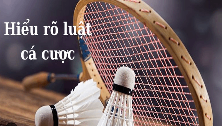 Cá Cược Cầu Lông Tại CROWN88: Bí Quyết Chơi Vui 2 Cá Cược Cầu Lông Tại CROWN88: Bí Quyết Chơi Vui